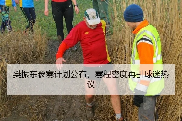 樊振东参赛计划公布，赛程密度再引球迷热议